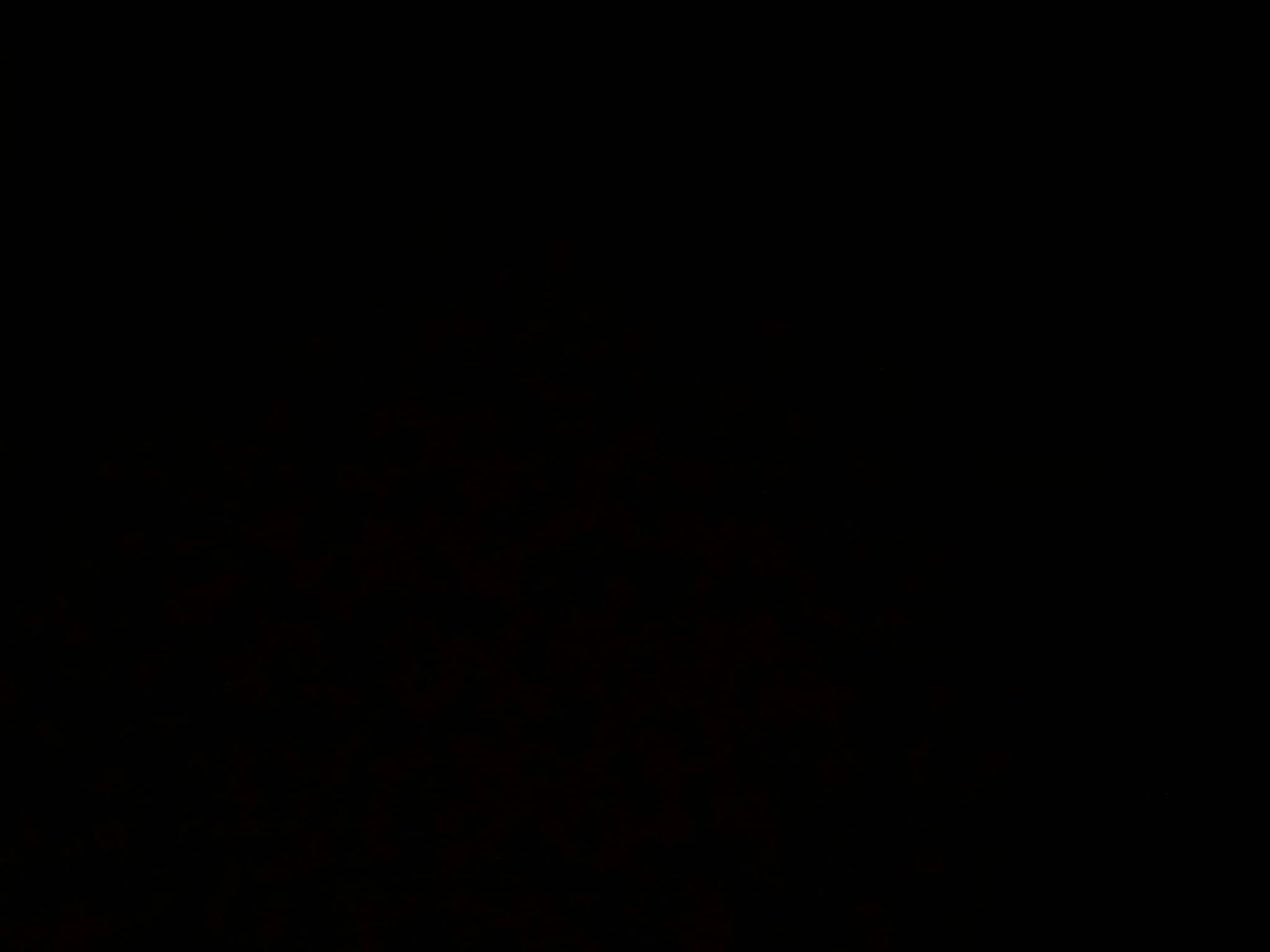 微信图片_20260506171730_871_4.jpg