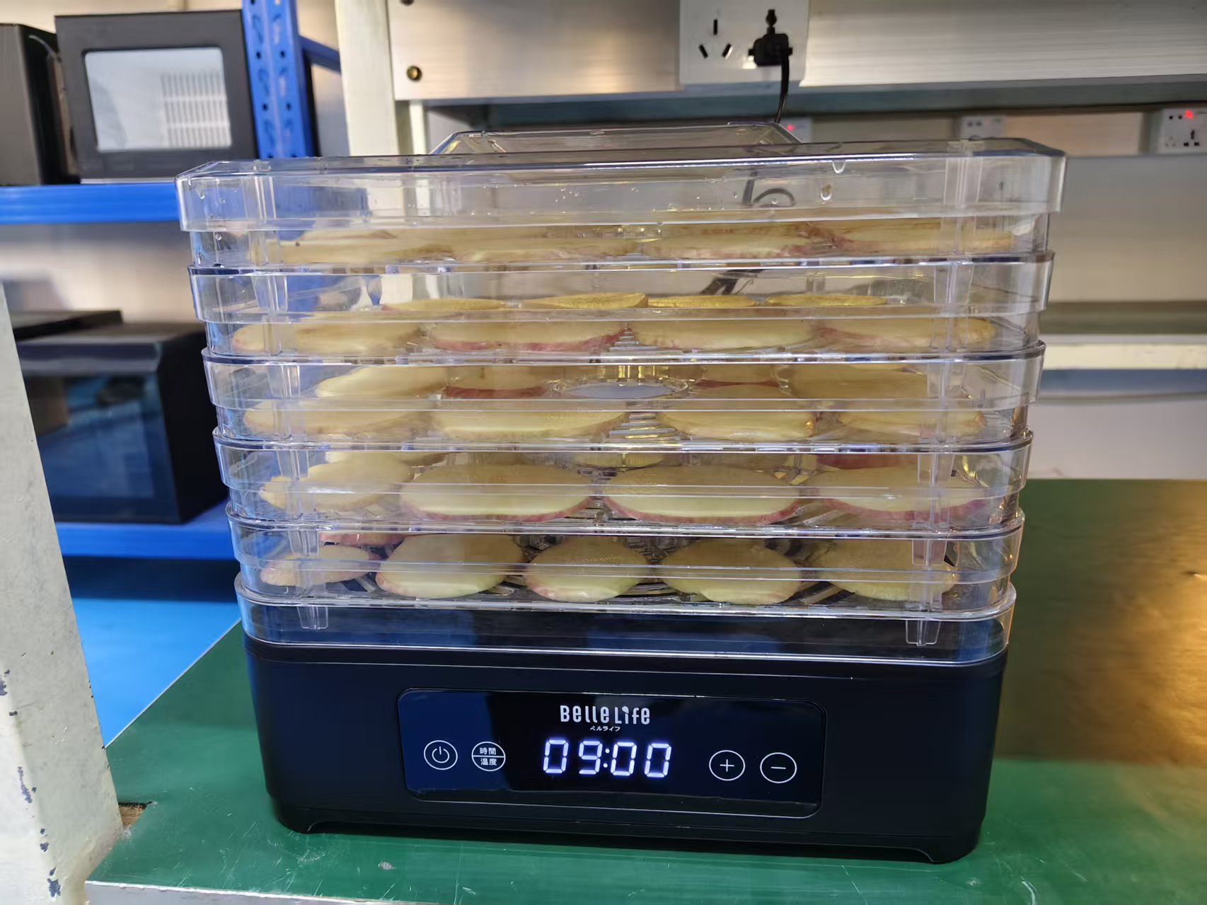 小家电验收规范：干果机验货要点