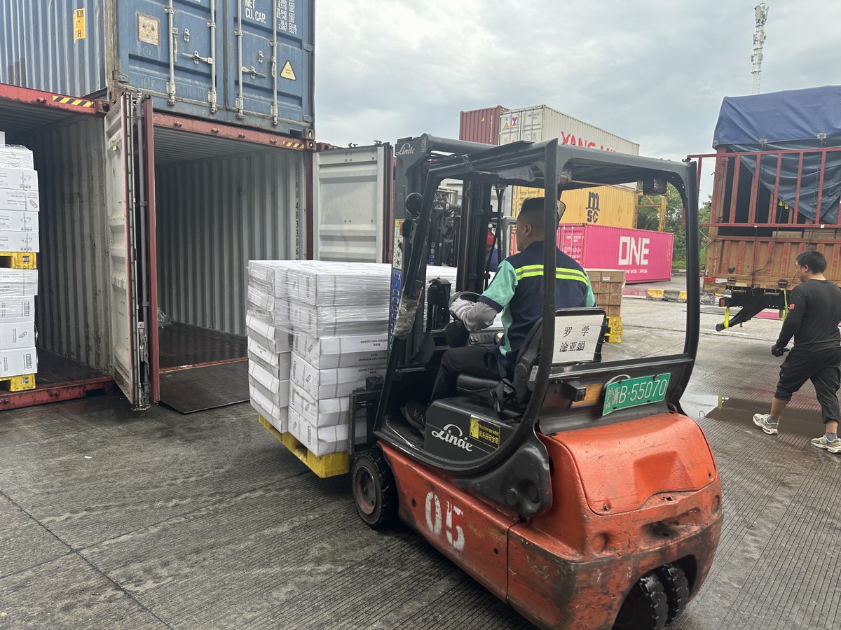 A Quick Guide to Container Loading Supervision: Essential Quality Control Procedures for Exporting Foreign Trade Goods