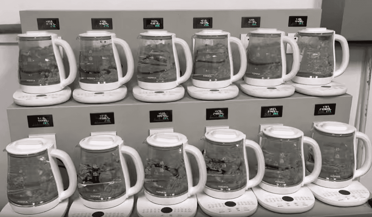 Electric Kettle Inspection, Inspection service
