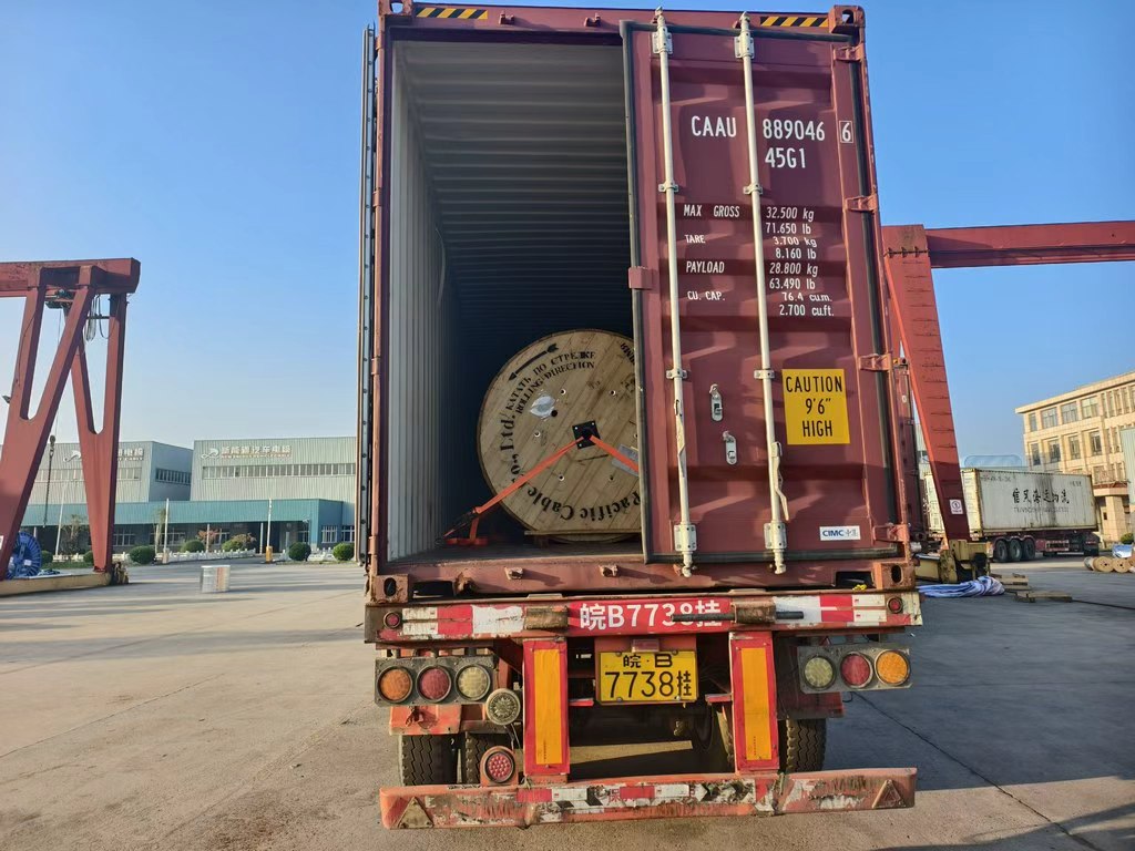 Essential Information | Complete Third-Party Cargo Loading Process, Safeguarding Your Shipping Quality